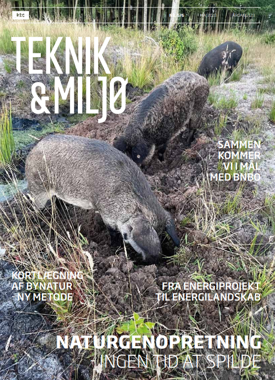 Skærmbillede 2023-05-17 121219